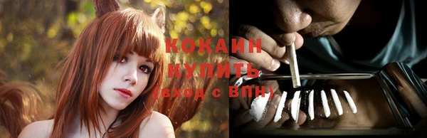 крисы Алексеевка