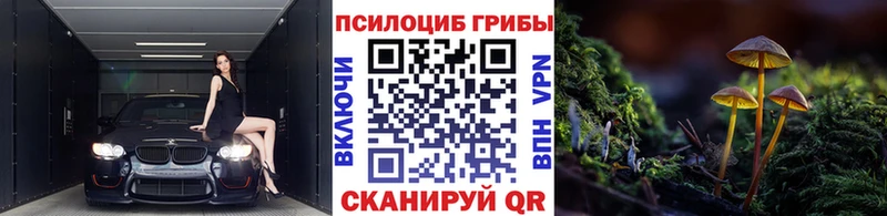 купить наркоту  дарк нет телеграм  Галлюциногенные грибы ЛСД  Арамиль 