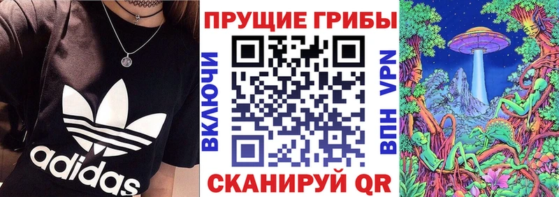 Псилоцибиновые грибы GOLDEN TEACHER Арамиль
